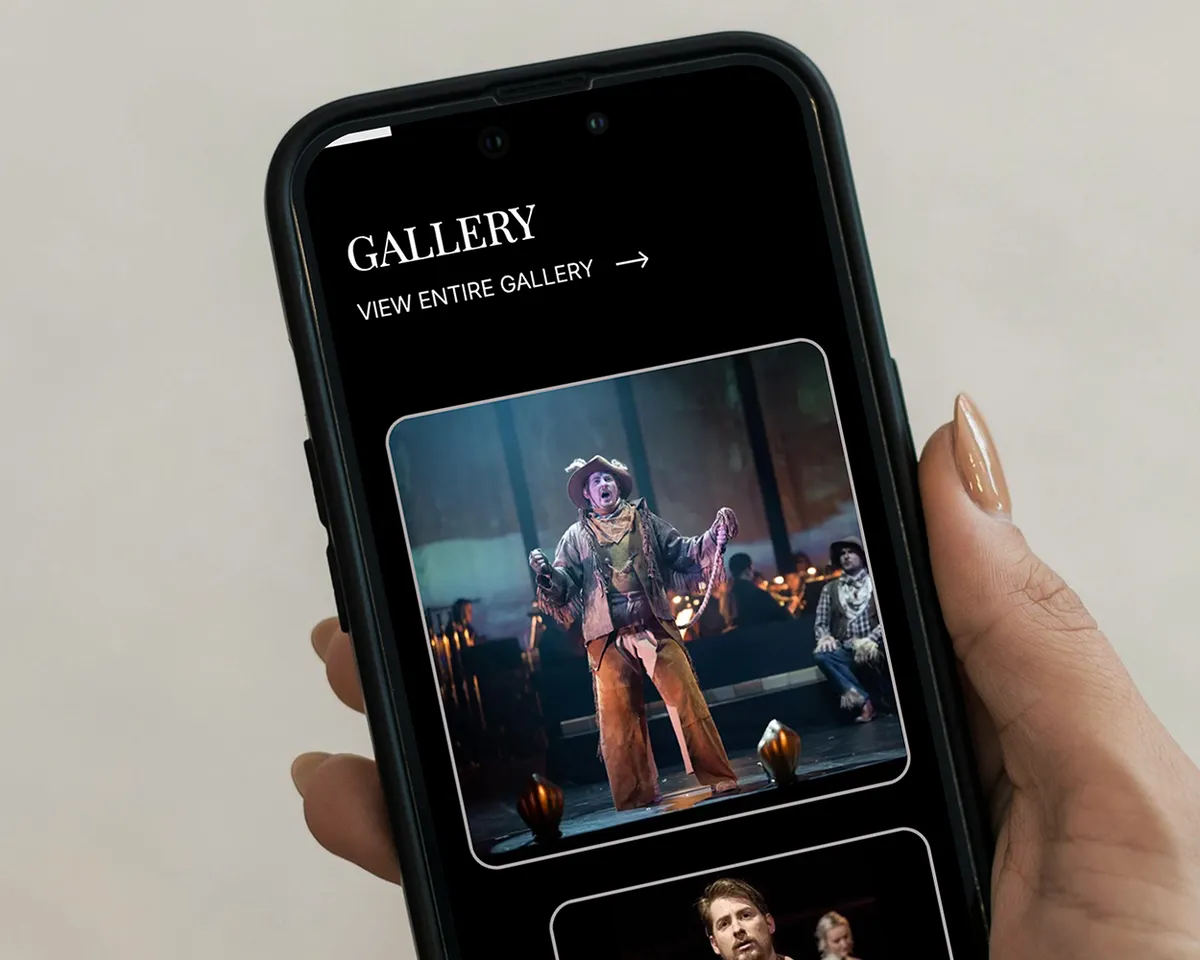 Image of the website being used by a user